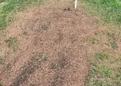 Preferred Tree Company